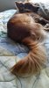 20150613_175022_resized.jpg