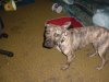 DSCF5674.JPG