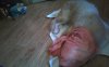 2015-12-06-134201.jpg