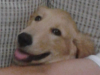 rafa ^.^.png