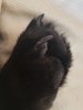 20190319_094414.jpg