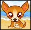 chihuahua-puppy,.jpg