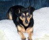 100_0766.JPG